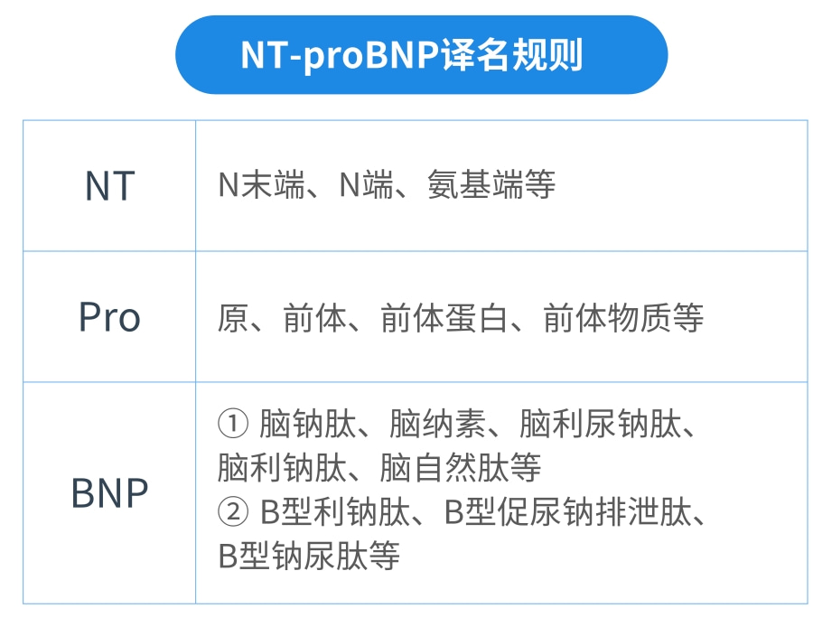 NT-proBNP有几个中文译名？——国赛生物第二代NT-proBNP、CK-MB试剂获证上市