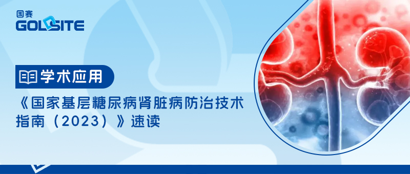 《国家基层糖尿病肾脏病防治技术指南(2023)》速读